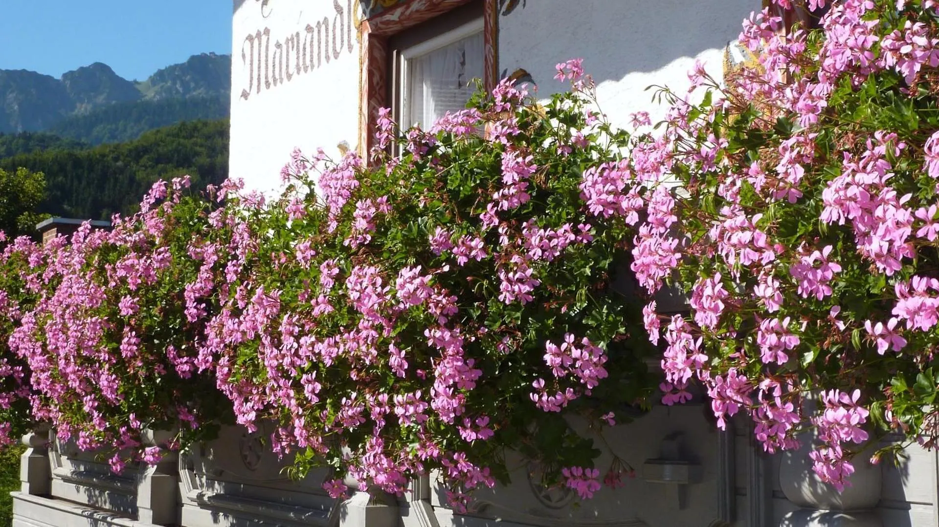 Πανσιόν Hotel Mariandl Μπέργκεν